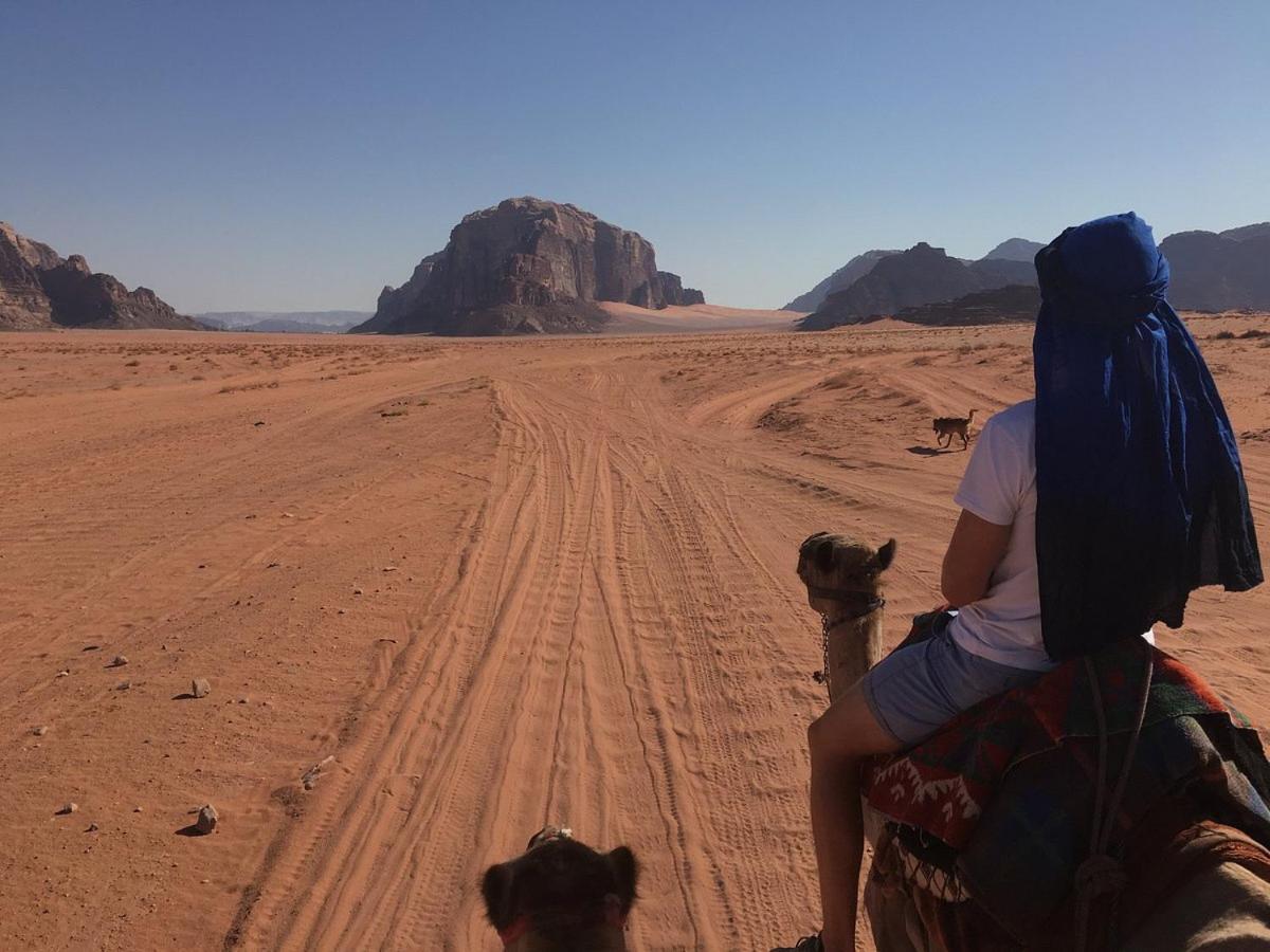 Wadi Rum Shooting Stars Camp Hotell Eksteriør bilde